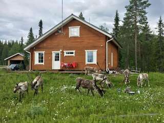 Виллы Lapland Villa Пухатунтури Вилла с 3 спальнями-128